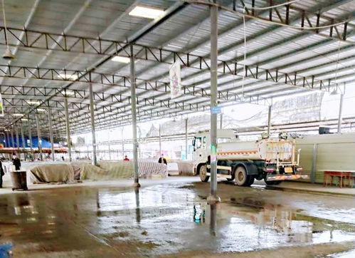 愛護環境勤打掃，攜手共建文明城——清泉鎮開展愛國衛生行動暨環境衛生公共設施安裝服務